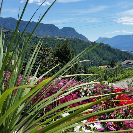 Pension Weinberg リフィアーノ エクステリア 写真