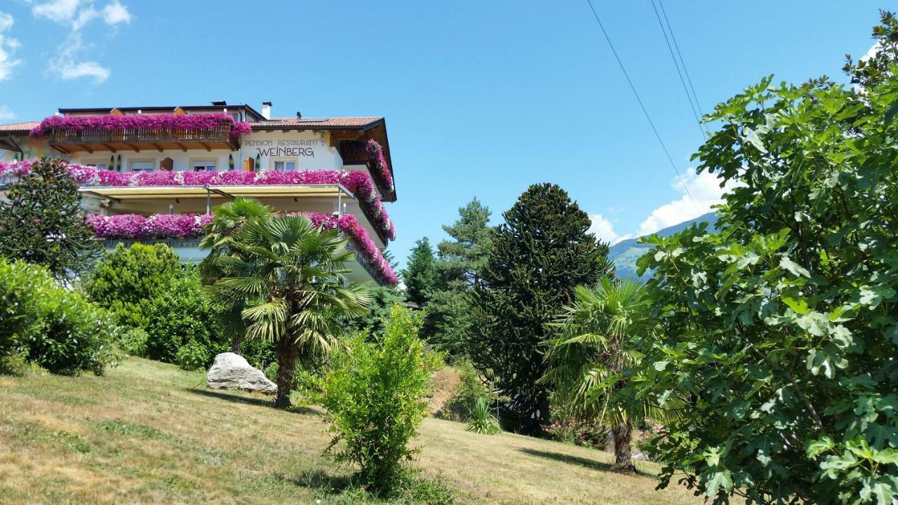 Pension Weinberg リフィアーノ エクステリア 写真